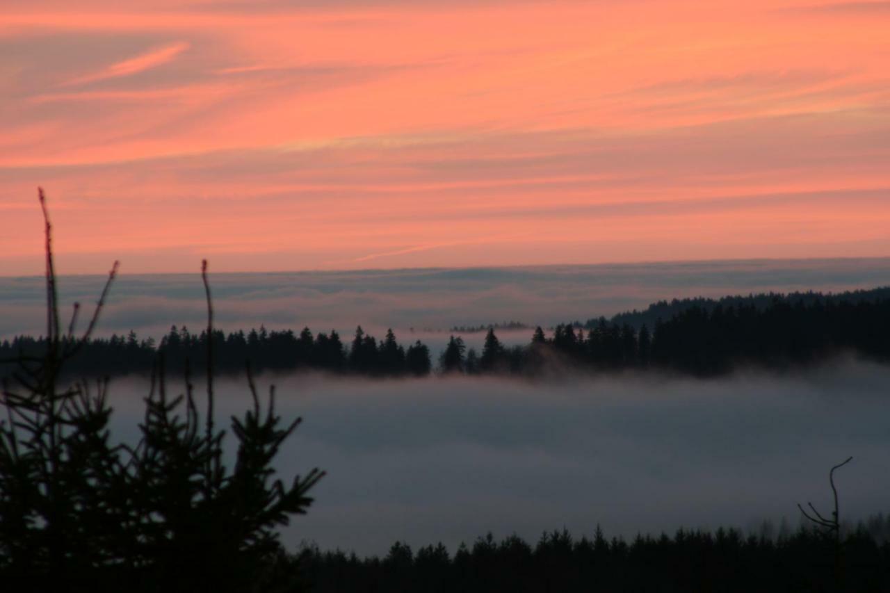 Landhaus Edelweiss Bed&Breakfast - Adults Only Neustadt am Rennsteig Buitenkant foto