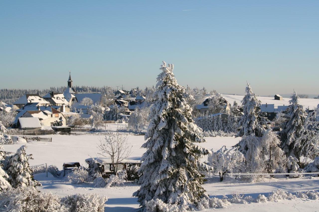 Landhaus Edelweiss Bed&Breakfast - Adults Only Neustadt am Rennsteig Buitenkant foto